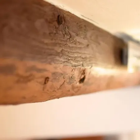 Historische Im Herzen Der Regensburger Altstadt