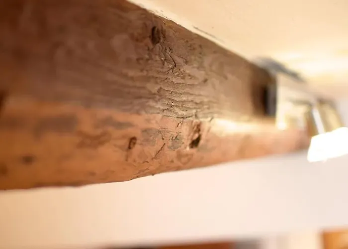 Historische Im Herzen Der Regensburger Altstadt